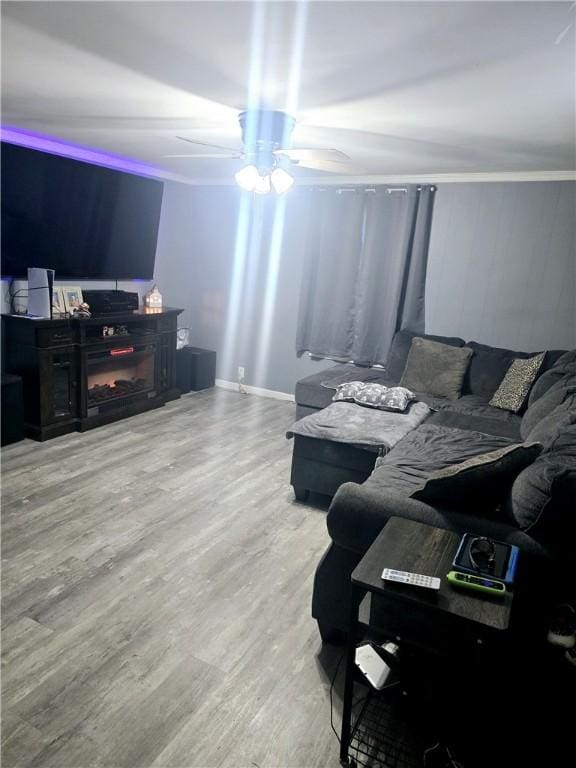 living room with hardwood / wood-style floors, ceiling fan, and ornamental molding