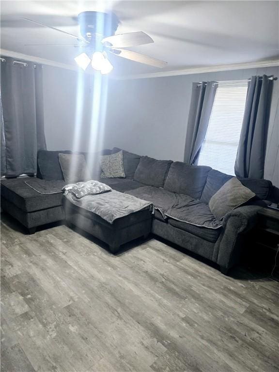 living room featuring ceiling fan, wood-type flooring, and crown molding