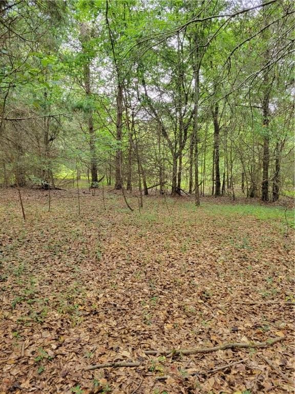 12051 N Radio Station Rd, Seneca, SC 29678 - photo 14
