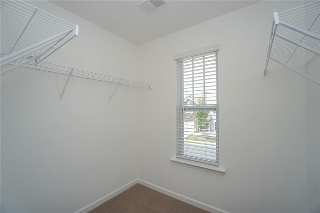 spacious closet with carpet flooring