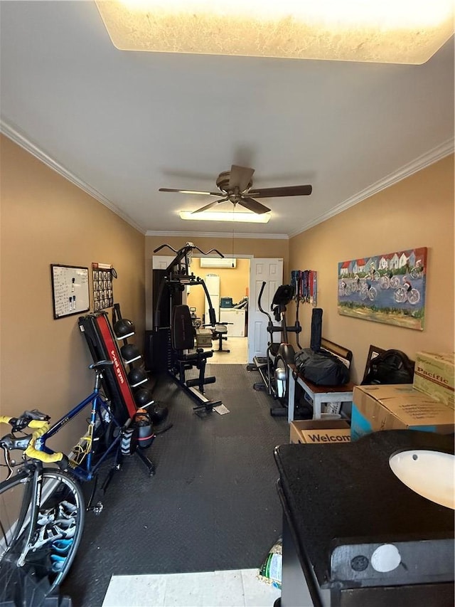 exercise area featuring ceiling fan and crown molding