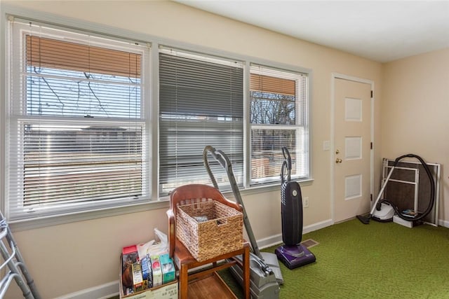 interior space with a healthy amount of sunlight and carpet floors