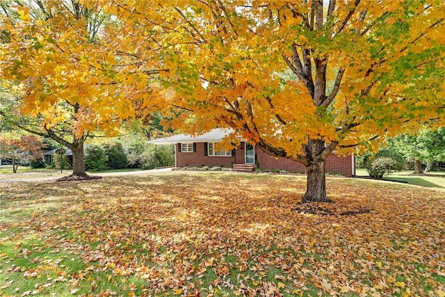 view of front of house featuring a front yard