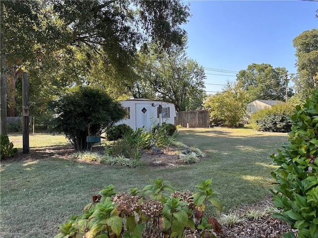 view of yard featuring a storage unit