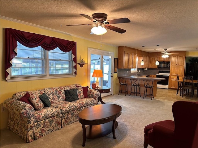 living room featuring a textured ceiling, light colored carpet, ceiling fan, crown molding, and sink