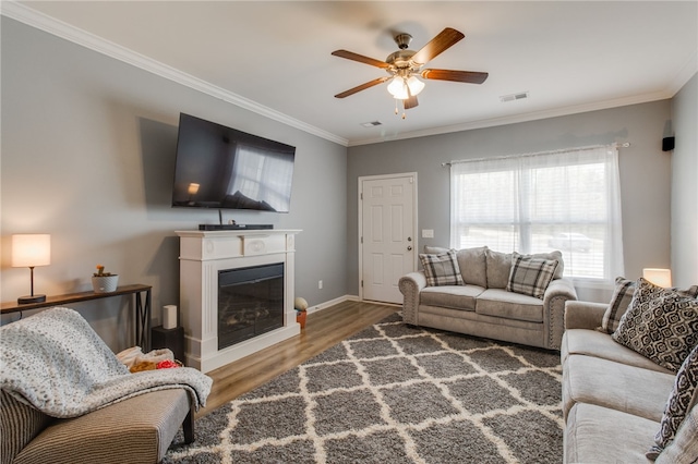 living room featuring ceiling fan, crown molding, and wood-type flooring