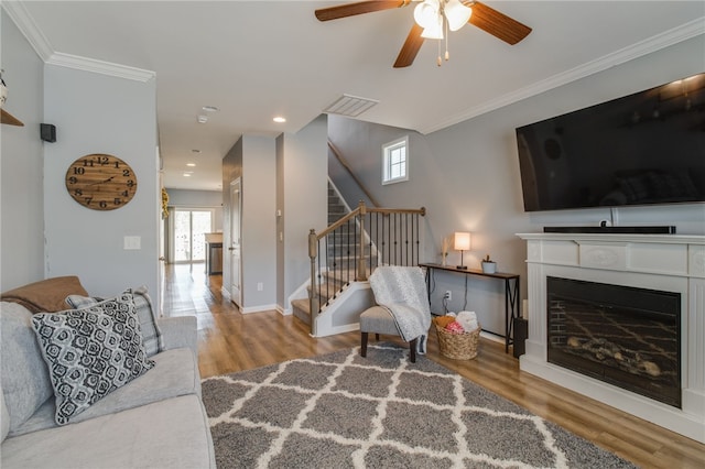 living room featuring light hardwood / wood-style flooring, ceiling fan, and ornamental molding