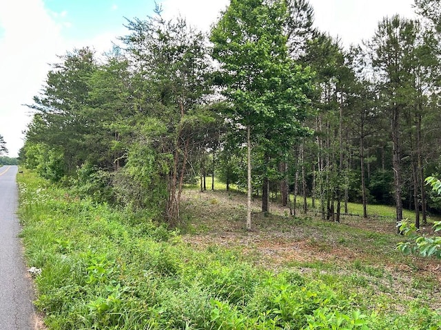 LOT1 Love And Care Rd, Six Mile SC, 29682 land for sale