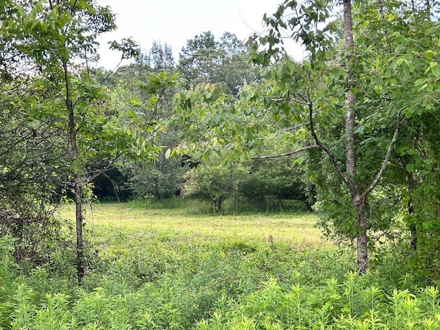 Listing photo 2 for LOT1 Love And Care Rd, Six Mile SC 29682