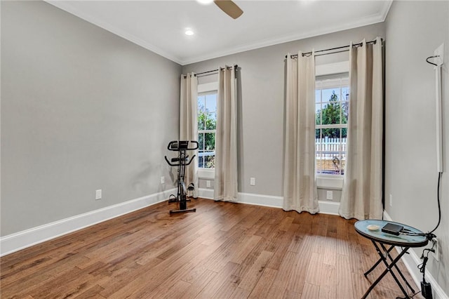 exercise area with ceiling fan, wood-type flooring, and crown molding