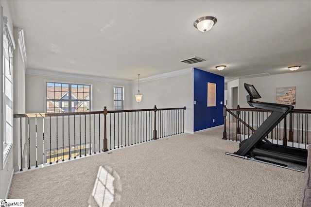 interior space featuring carpet flooring and crown molding