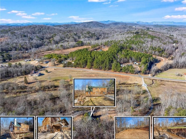 birds eye view of property featuring a mountain view