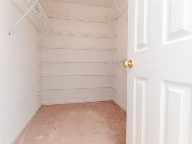 walk in closet with carpet