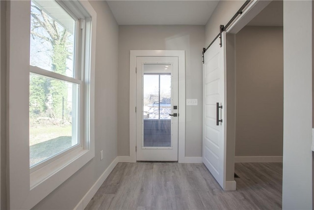 doorway to outside featuring a barn door and light hardwood / wood-style floors