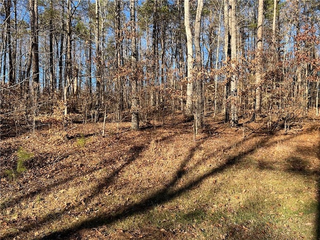 LOT781 S Hogan Dr, Westminster SC, 29693 land for sale