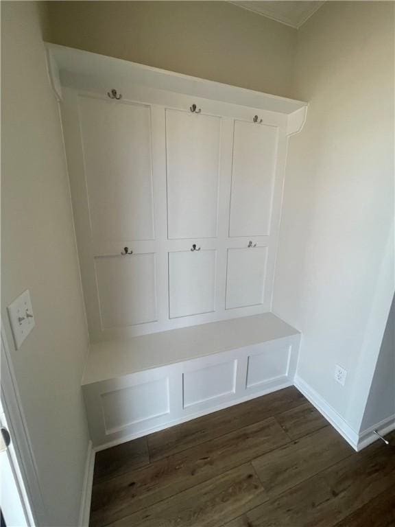 mudroom featuring dark wood-type flooring