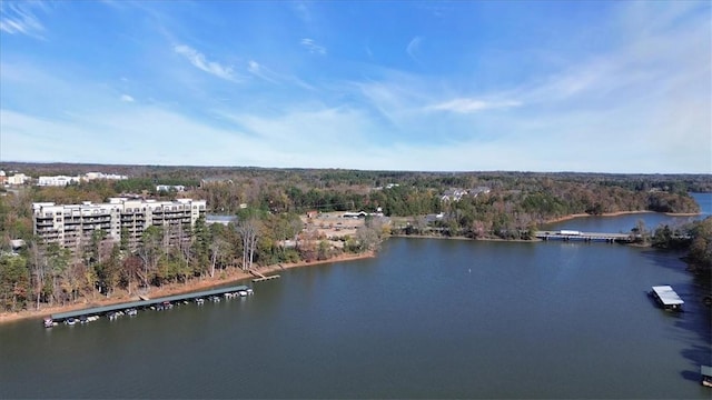 306 Watermarke Ln, Anderson, SC 29625 - photo 38