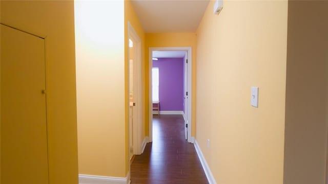 hall featuring dark wood-type flooring