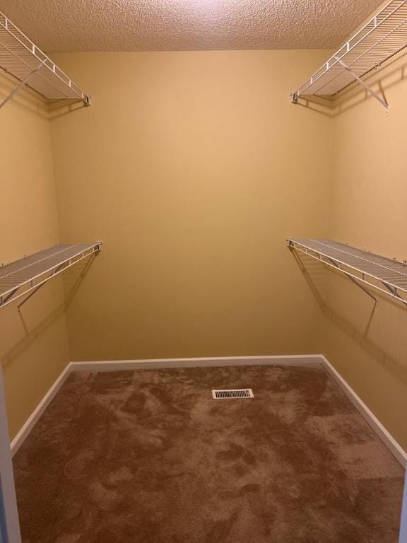 spacious closet featuring carpet floors