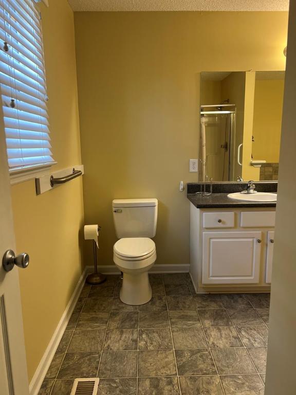 bathroom featuring toilet, vanity, a healthy amount of sunlight, and walk in shower