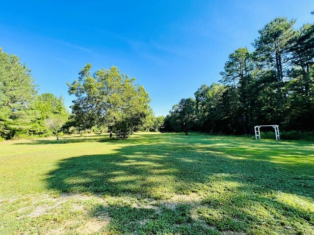 589 Old Calhoun Falls Rd, Abbeville SC, 29620 land for sale