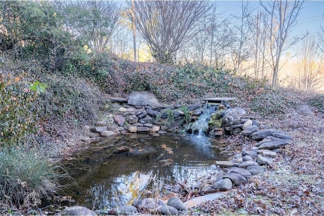 view of local wilderness