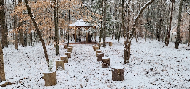 view of yard covered in snow