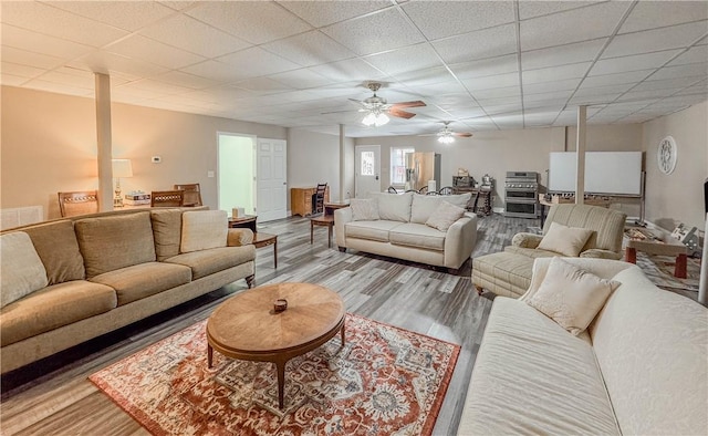 living room featuring a paneled ceiling, ceiling fan, and light hardwood / wood-style floors