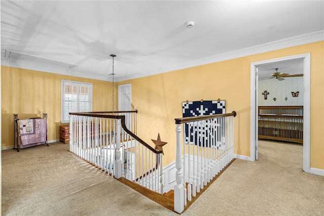 hallway featuring carpet floors and crown molding