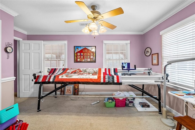 carpeted office space featuring ceiling fan, a healthy amount of sunlight, and ornamental molding