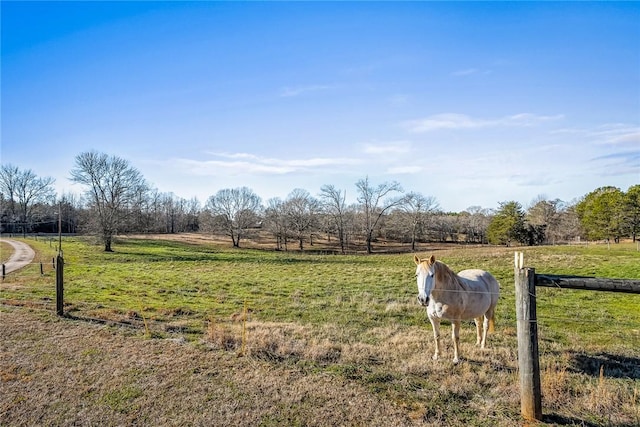 view of yard with a rural view