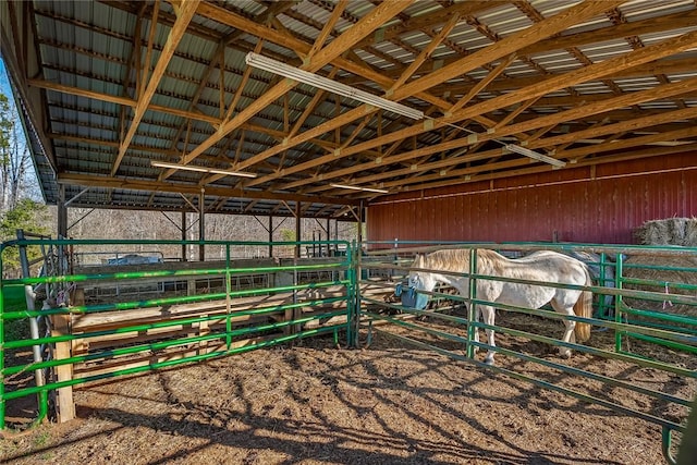 view of horse barn