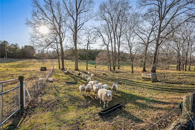 view of yard with a rural view