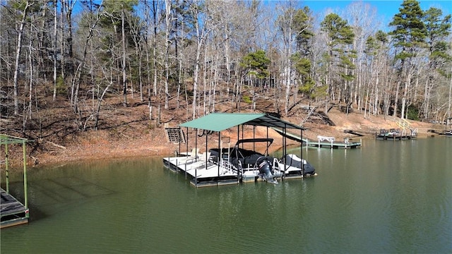 dock area with a water view