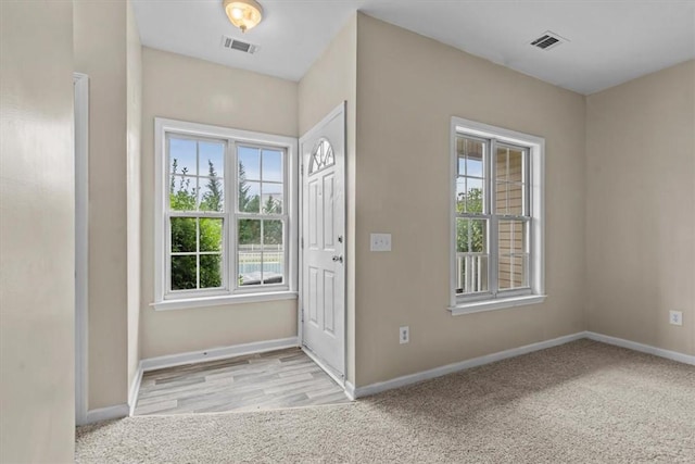 carpeted entryway with plenty of natural light