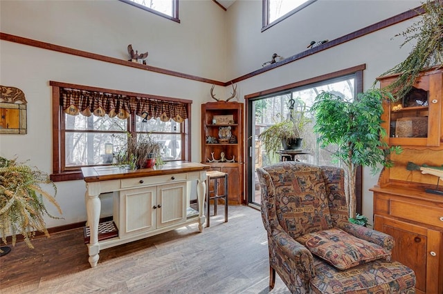 home office featuring a wealth of natural light, light hardwood / wood-style flooring, and a towering ceiling