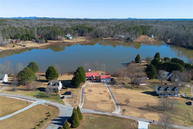 201 The Bear Blvd, Tamassee, SC 29686 - photo 4