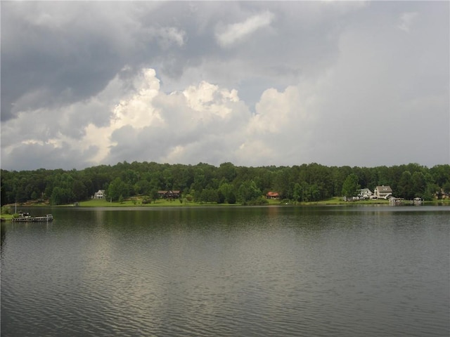 property view of water with a forest view