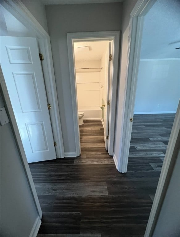 hallway featuring dark wood-type flooring