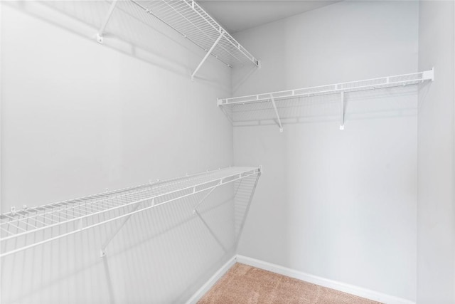 spacious closet with carpet