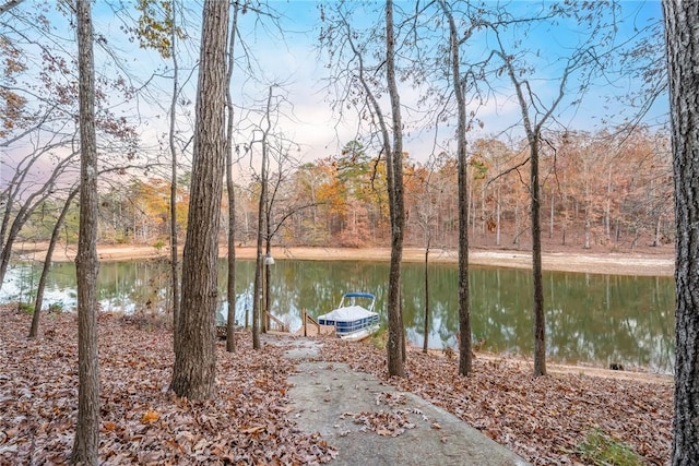 property view of water with a boat dock