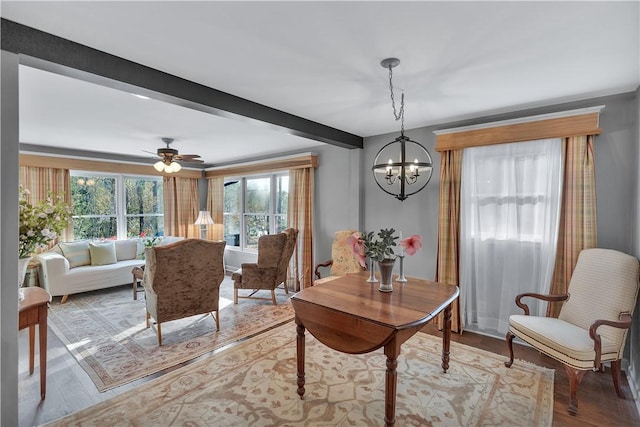 dining room featuring light hardwood / wood-style floors, ceiling fan with notable chandelier, and beam ceiling