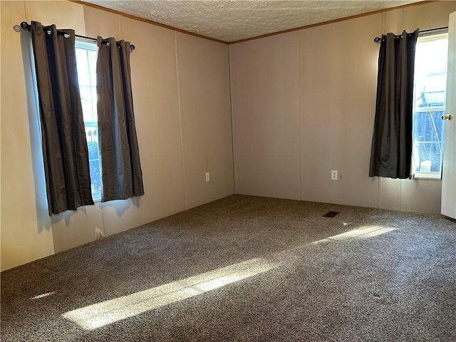 carpeted spare room featuring a textured ceiling, ornamental molding, and plenty of natural light