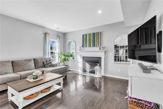 living room with dark wood-type flooring