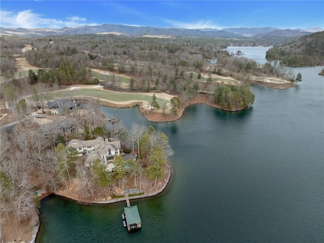 birds eye view of property featuring a water and mountain view