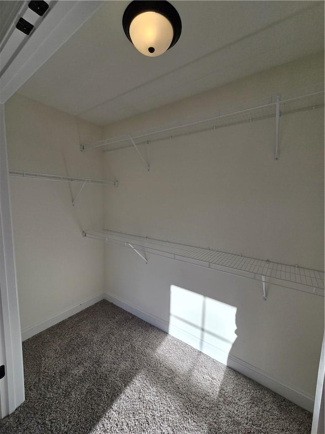 spacious closet with carpet