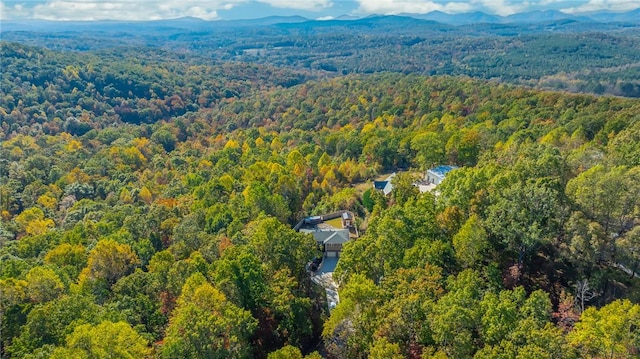 bird's eye view featuring a mountain view