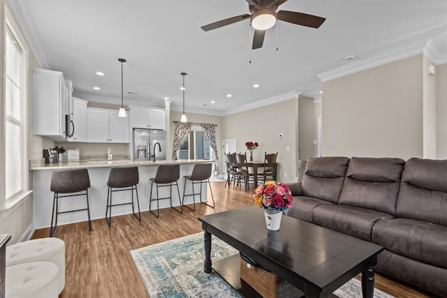 living room with a healthy amount of sunlight, ornamental molding, and light hardwood / wood-style flooring