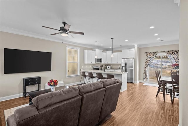 living room with ceiling fan, light wood-type flooring, sink, and crown molding