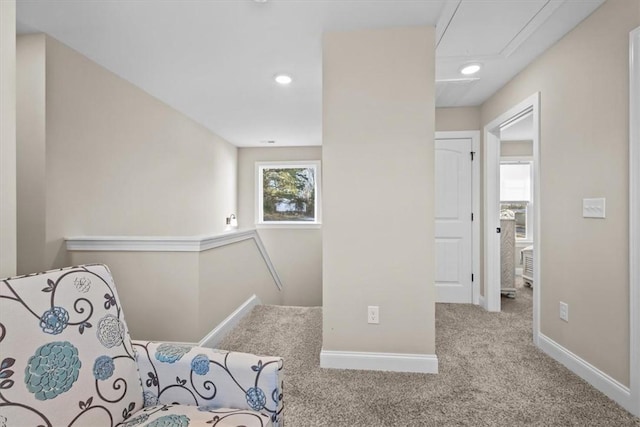 living area featuring carpet floors